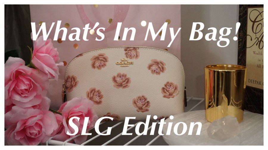 Cosmetic Case 17 by Coach | What's In My Bag: SLG Edition | TheLuxAngel
